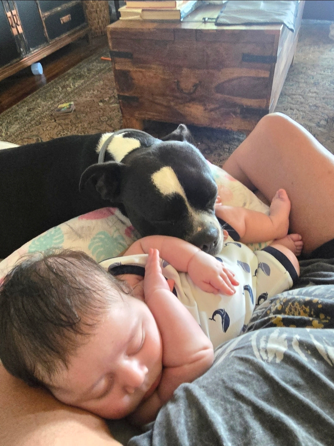 Newborn baby resting beside the family dog, showing the bond between a new baby and a beloved family pet.