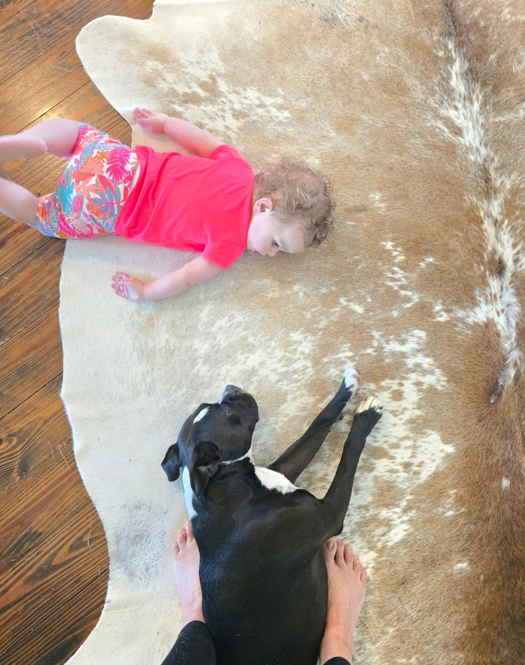 Young child resting beside a family dog at home before welcoming a new baby