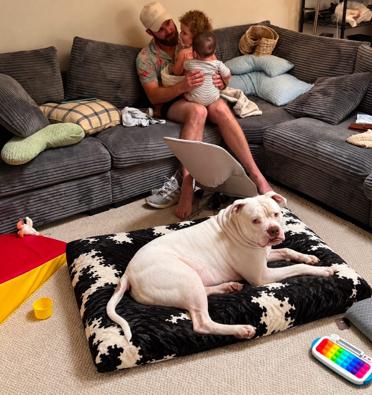 Dog Beds